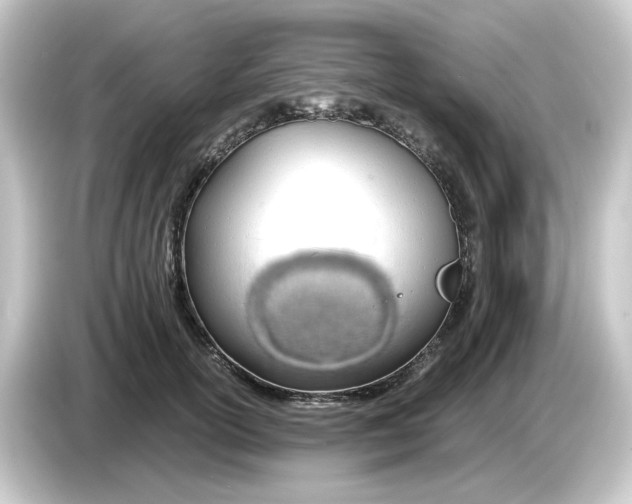 X0000084550754200703161646