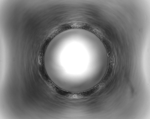 X0000084550755200703161646