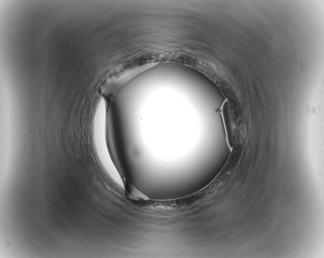 X0000084550756200703161646