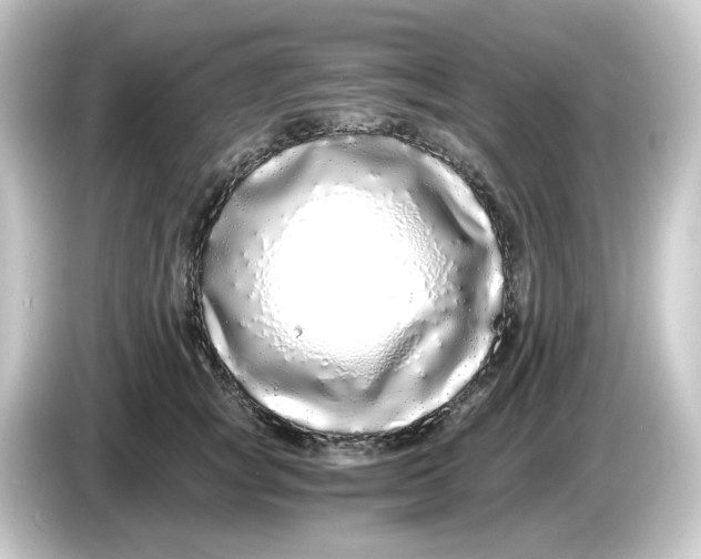 X0000084550757200703161646