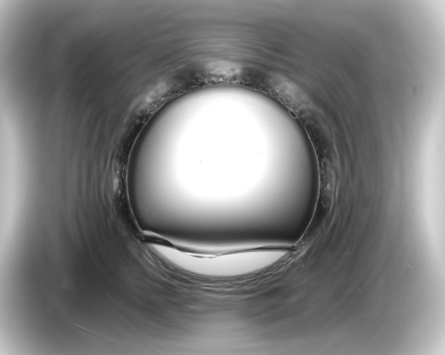 X0000084550758200703161646