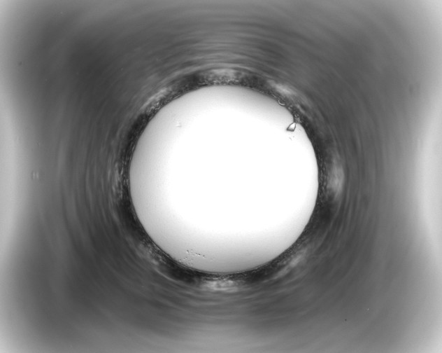 X0000084550759200703161646