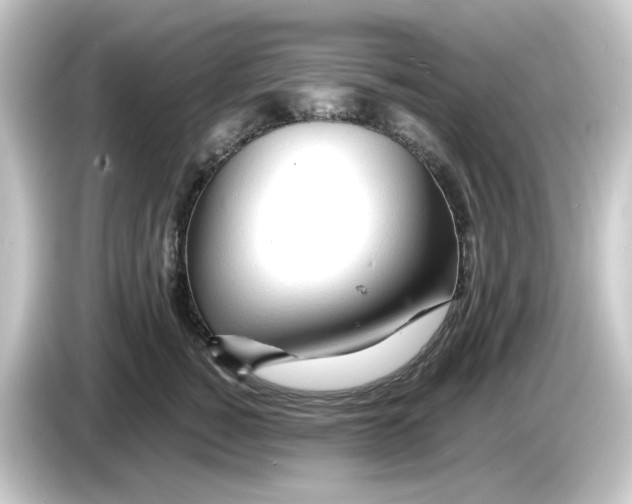 X0000084550760200703161646