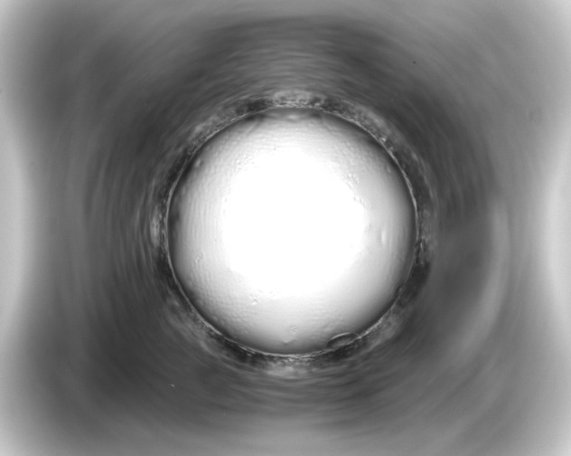 X0000084550761200703161646