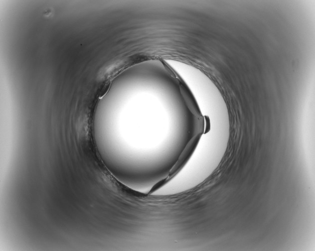 X0000084550762200703161646