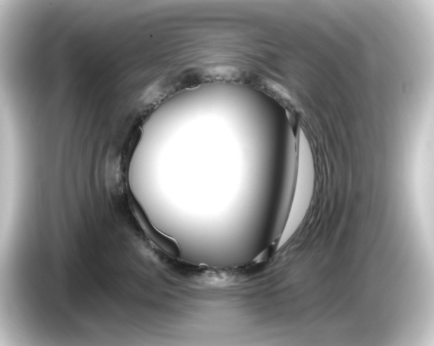 X0000084550764200703161646