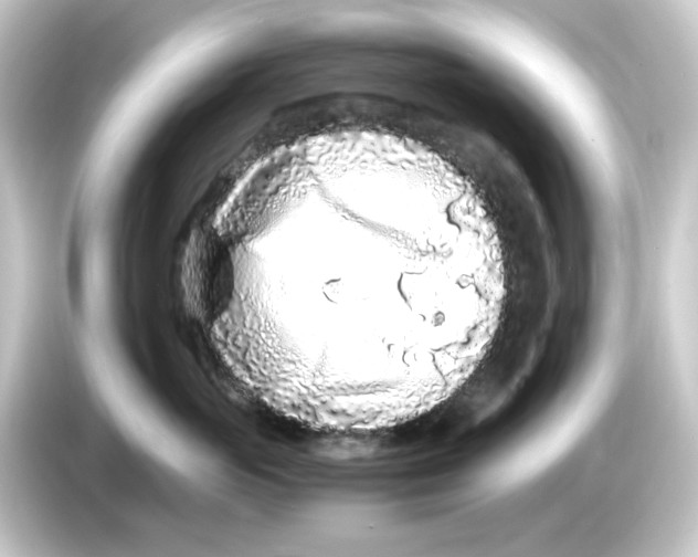 X0000084550765200703161646