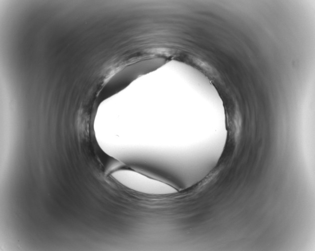 X0000084550766200703161646