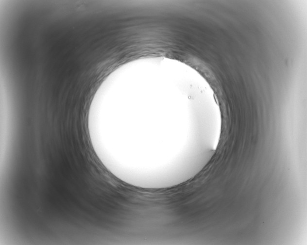 X0000084550768200703161646