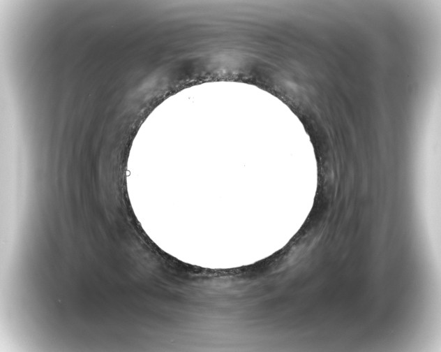 X0000084550769200703161646