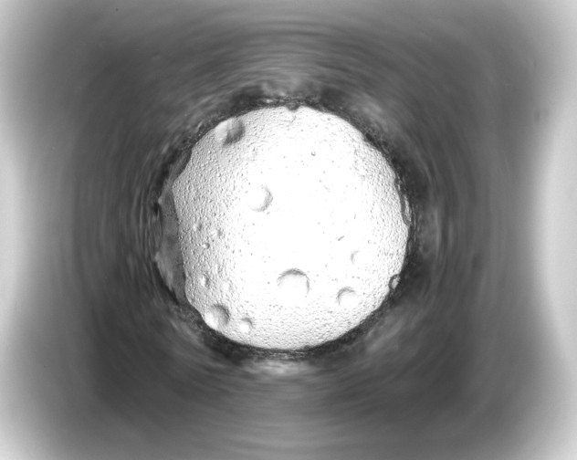 X0000084550770200703161646