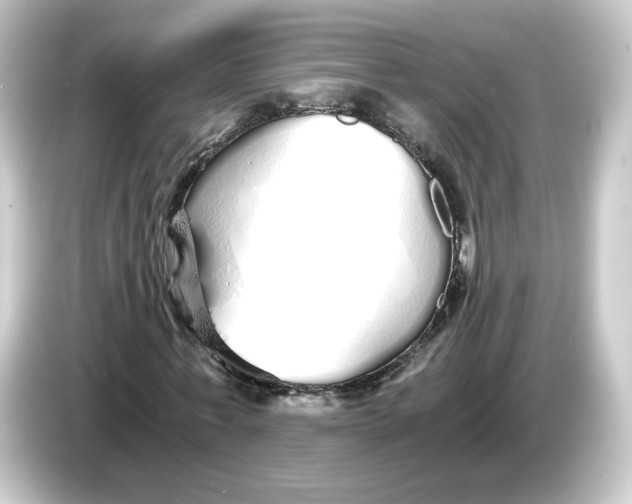 X0000084550771200703161646