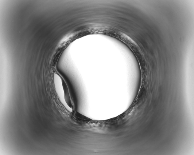 X0000084550775200703161646