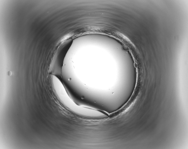 X0000084550777200703161646