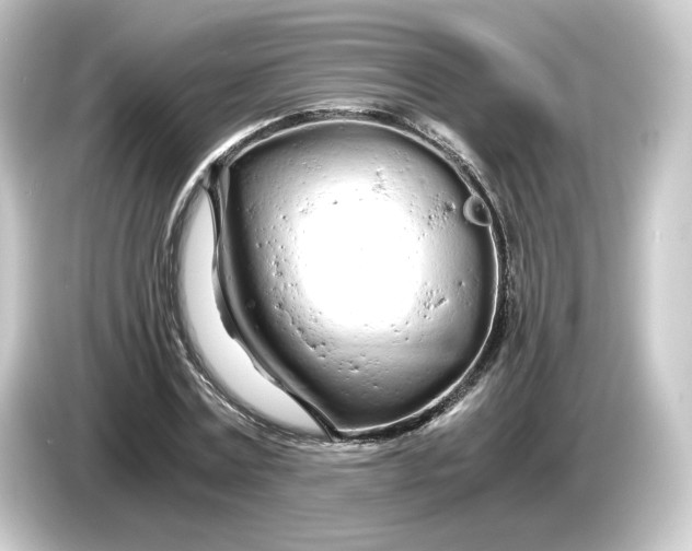 X0000084550779200703161646