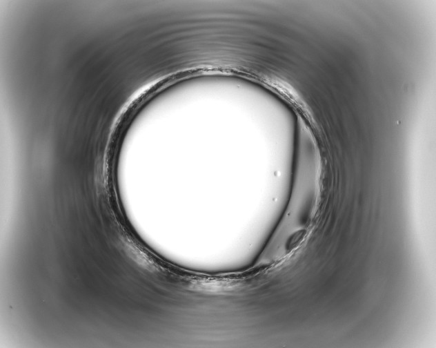 X0000084550780200703161646