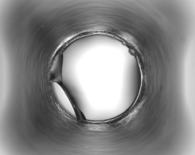 X0000084550781200703161646