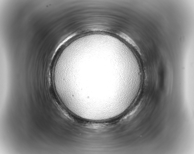 X0000084550782200703161646