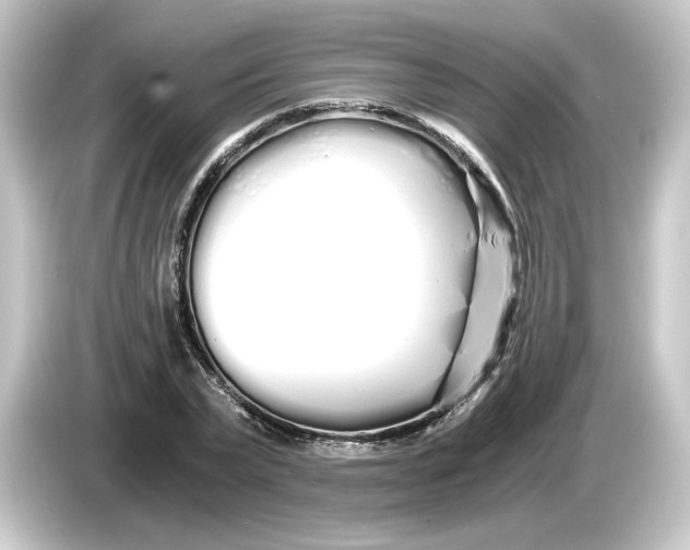 X0000084550783200703161646