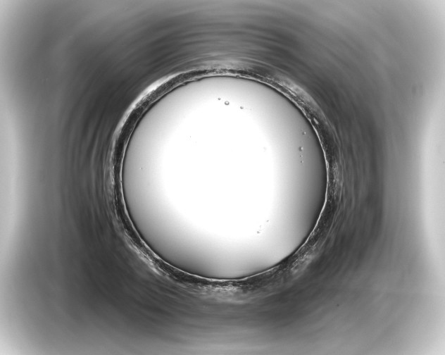 X0000084550784200703161646