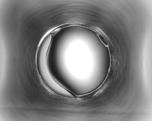 X0000084550788200703161645