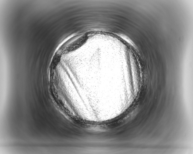 X0000084550790200703161645