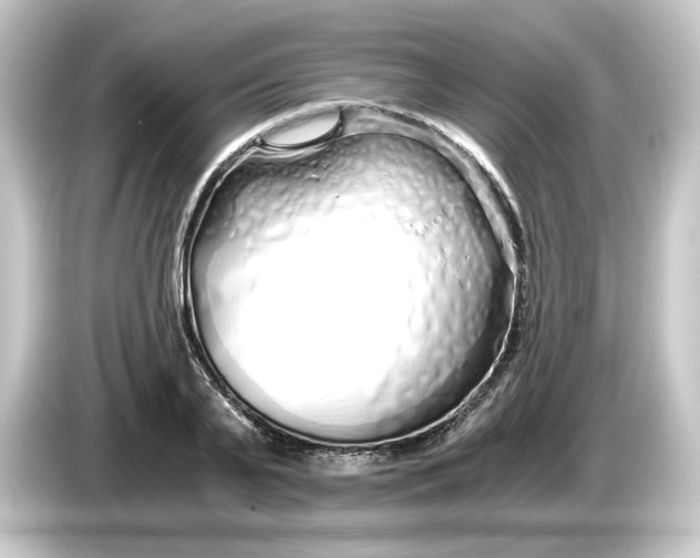 X0000084550791200703161645