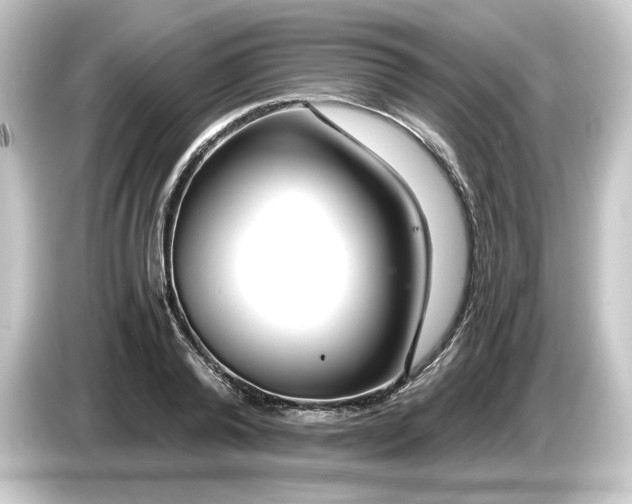 X0000084550792200703161645