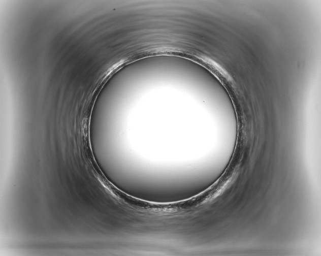 X0000084550793200703161645