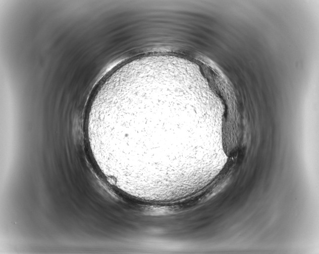 X0000084550794200703161645