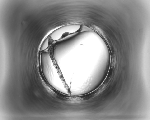 X0000084550795200703161645