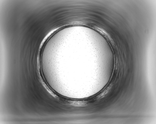 X0000084550796200703161645