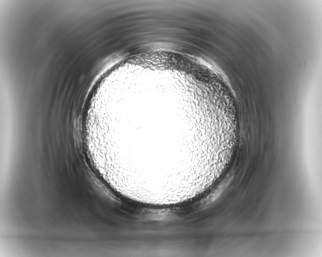 X0000084550798200703161645