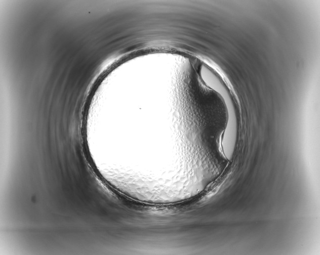 X0000084550799200703161645