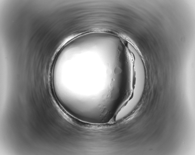 X0000084550803200703161645