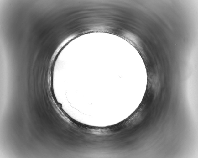 X0000084550804200703161645