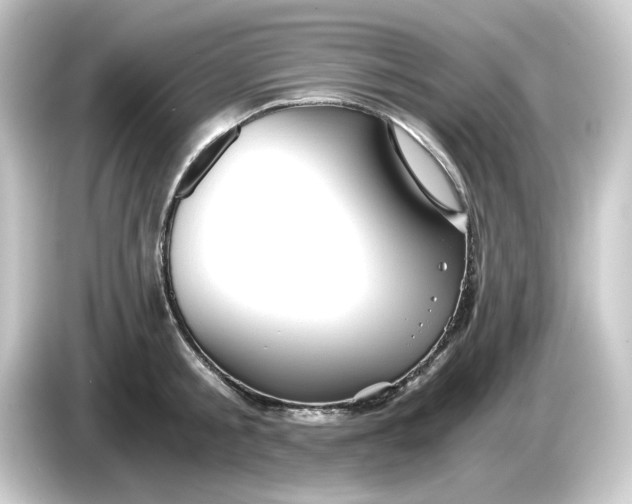 X0000084550805200703161645