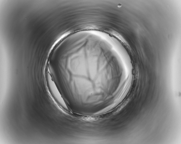 X0000084550806200703161645