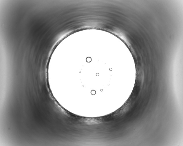 X0000084550807200703161645