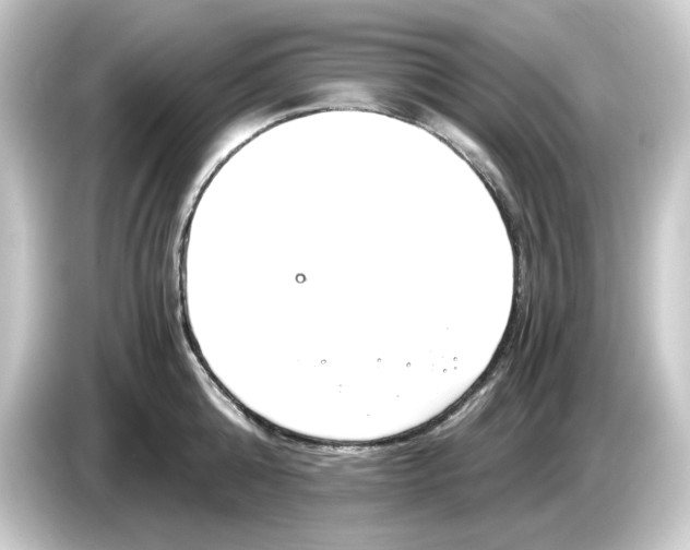 X0000084550808200703161645