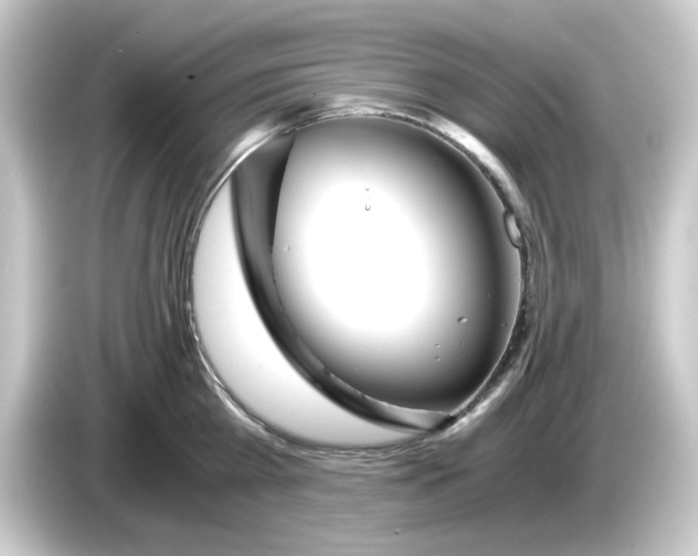 X0000084550809200703161645