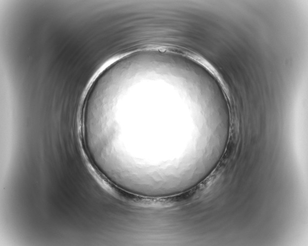 X0000084550811200703161645