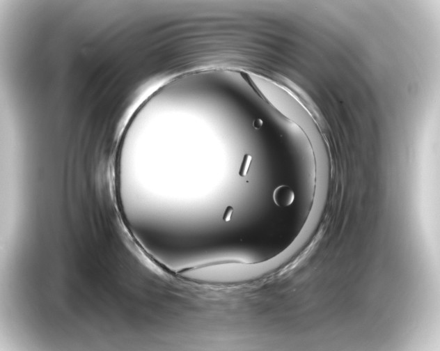 X0000084550812200703161645