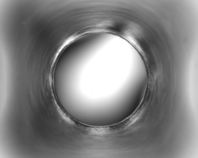 X0000084550813200703161645