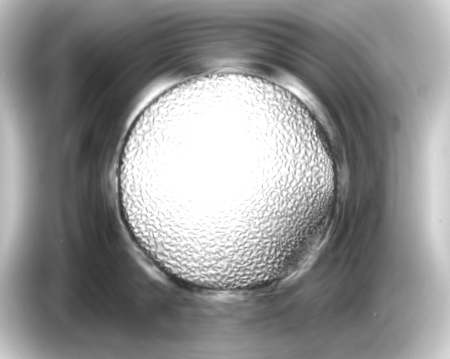 X0000084550814200703161645