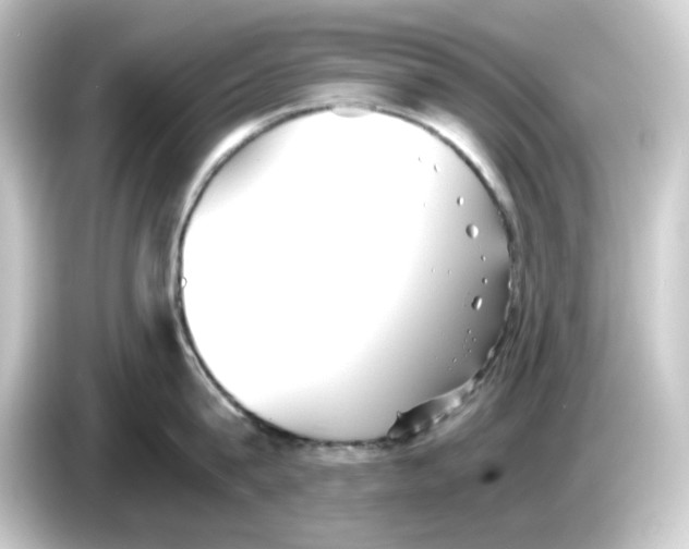 X0000084550815200703161645