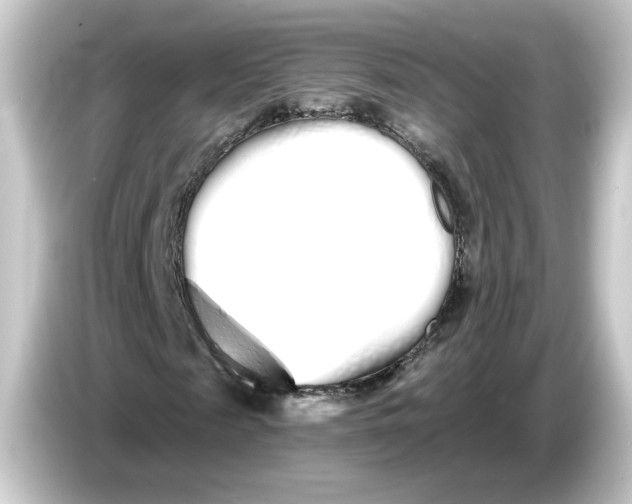 X0000084550817200703161645