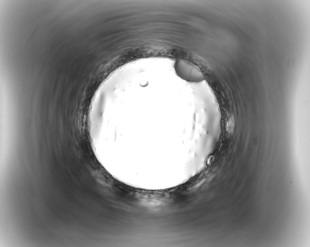 X0000084550819200703161645