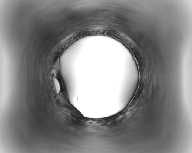 X0000084550821200703161645