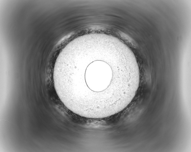 X0000084550824200703161645